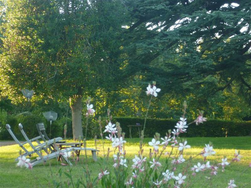Bed And Breakfast - Chateau Du Vau Ballan-Miré Buitenkant foto