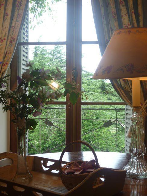 Bed And Breakfast - Chateau Du Vau Ballan-Miré Kamer foto