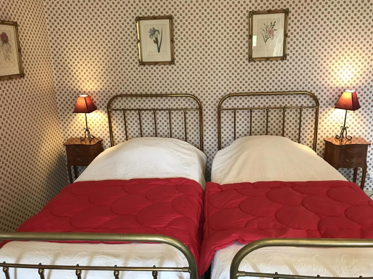 Bed And Breakfast - Chateau Du Vau Ballan-Miré Buitenkant foto